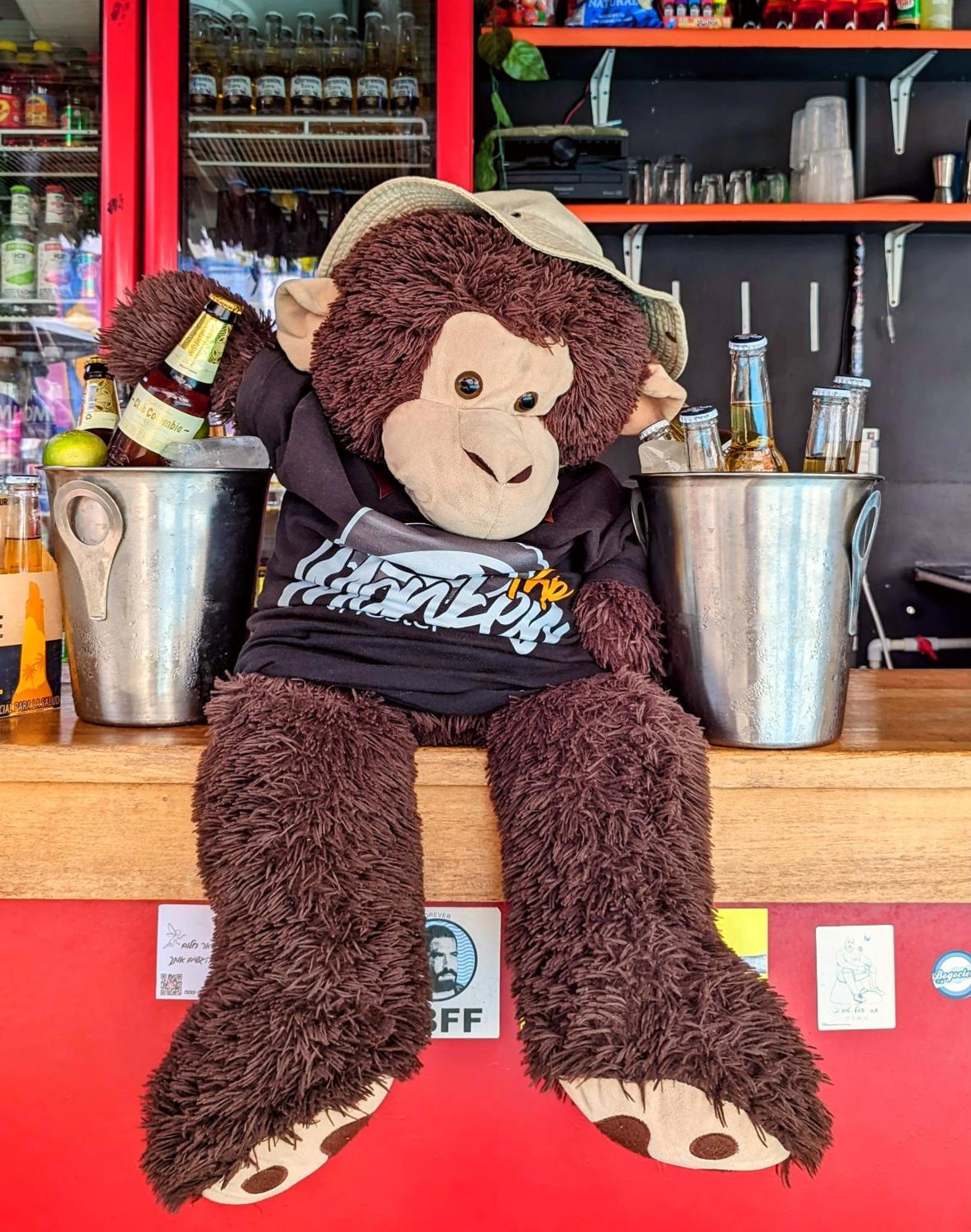 Hostel Trip Monkey 圣希尔 外观 照片